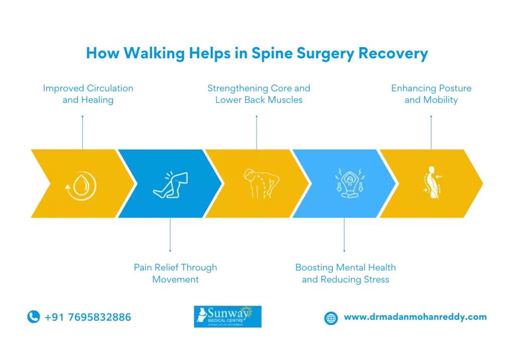 Exercises After Spine Surgery