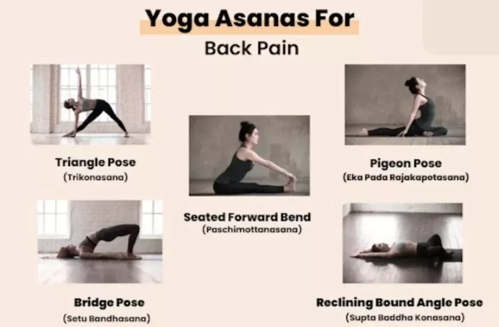 Yoga Asanas for Back Pain